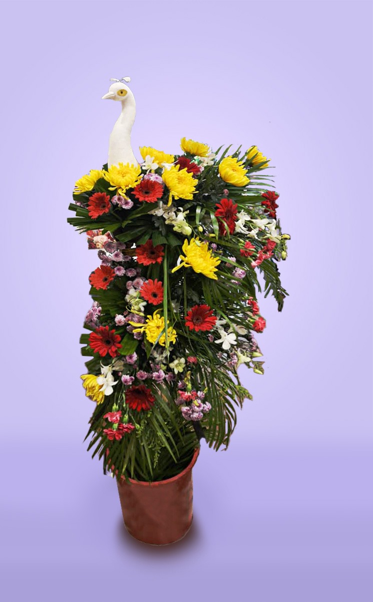 WhatsApp Image 2025-03-24 at 16.49