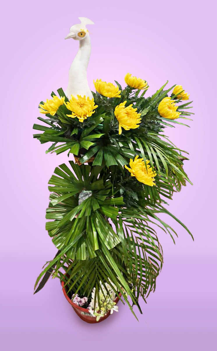 WhatsApp Image 2025-03-24 at 16.49